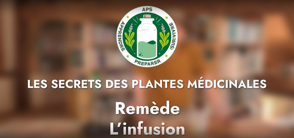 Remède – L’infusion de Sureau noir