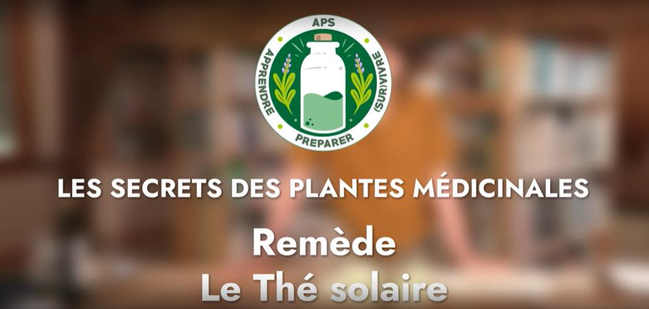 Remède – Le thé solaire de Sureau noir