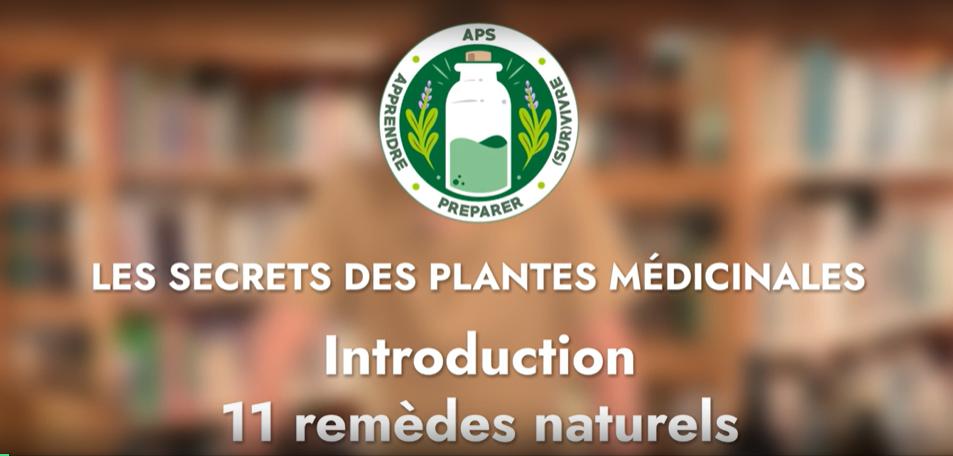 Introduction – 11 remèdes naturels