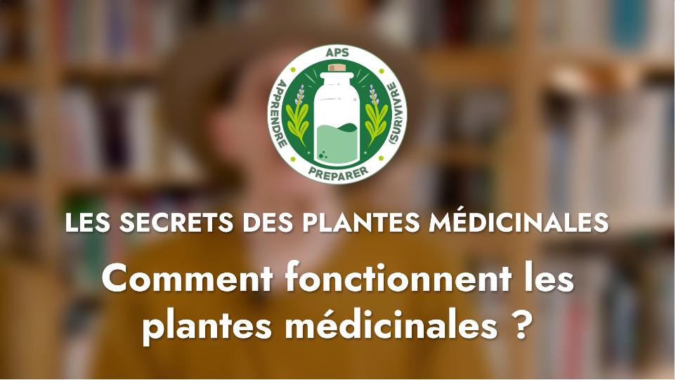 Comment fonctionnent les plantes médicinales ?