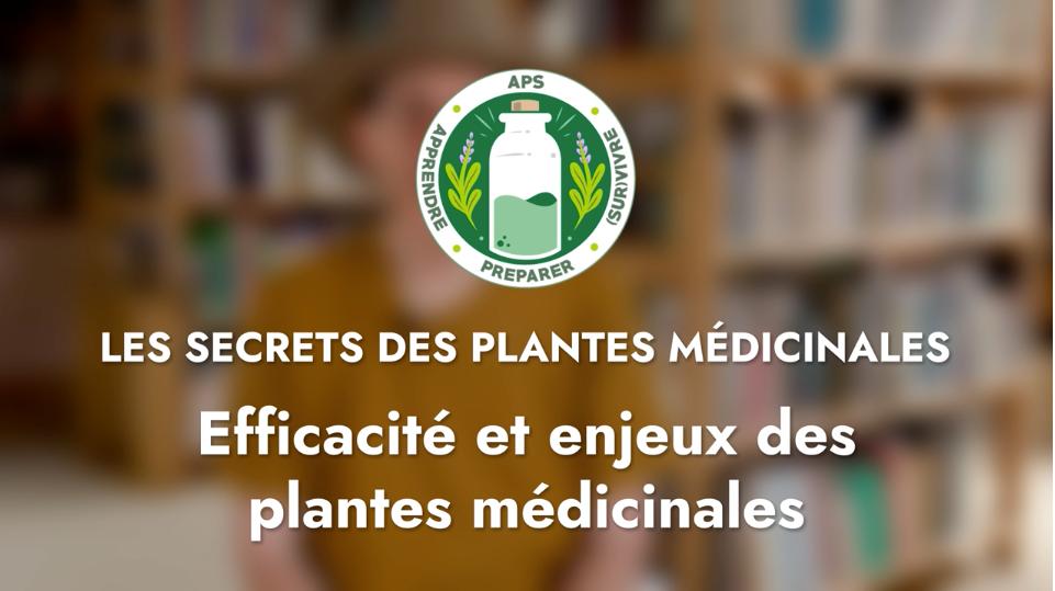 Efficacité et enjeux des plantes médicinales