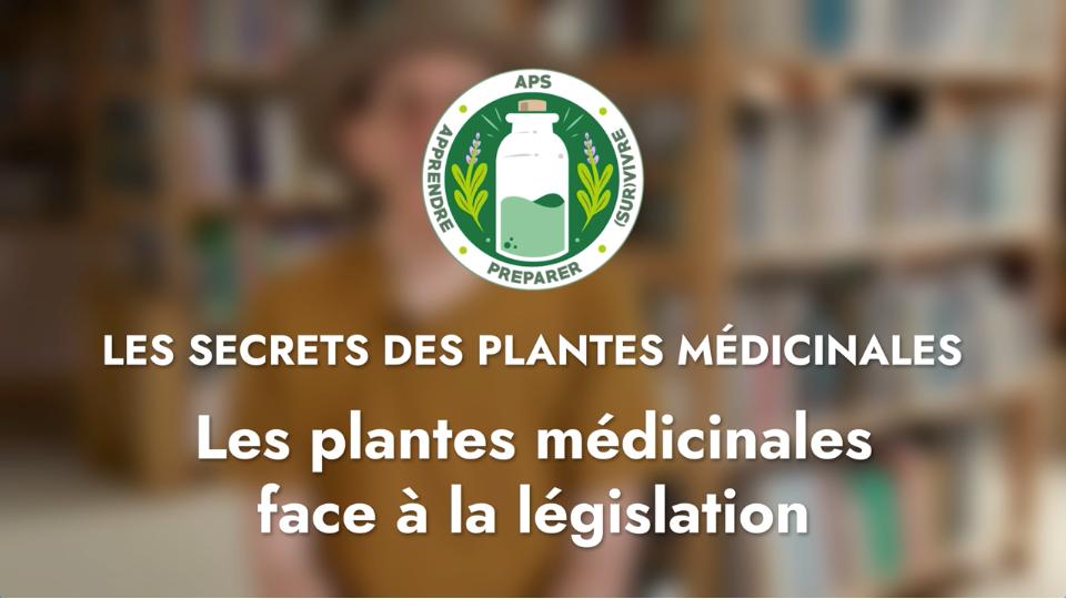 Les plantes médicinales face à la législation