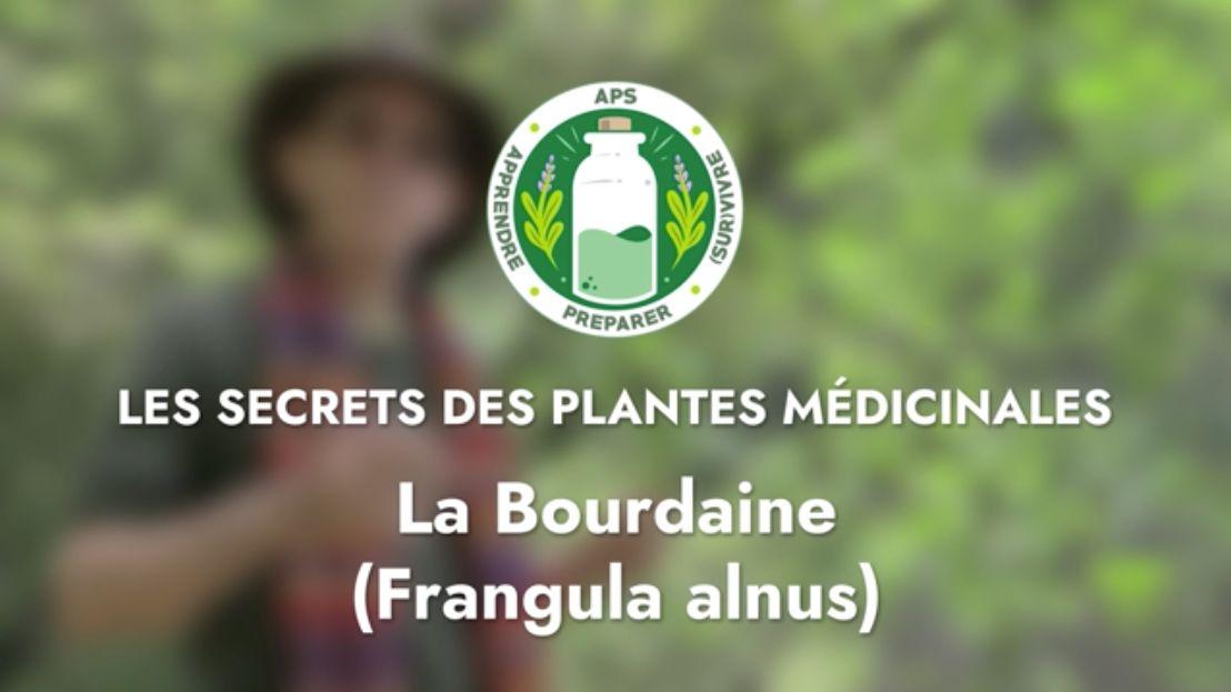 La Bourdaine (Frangula alnus)