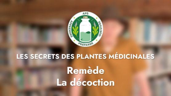 Remède – La décoction d’écorce de Saule