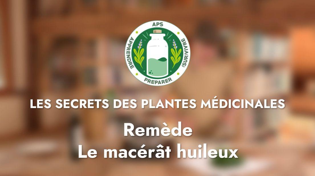 Remède – Le macérat huileux de Consoude