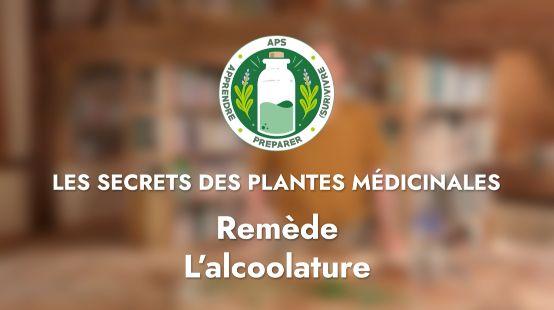 Remède – L’alcoolature de racine de Berce