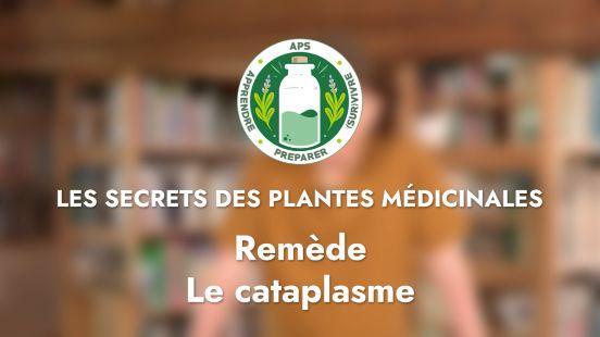 Remède – Le cataplasme de Plantain